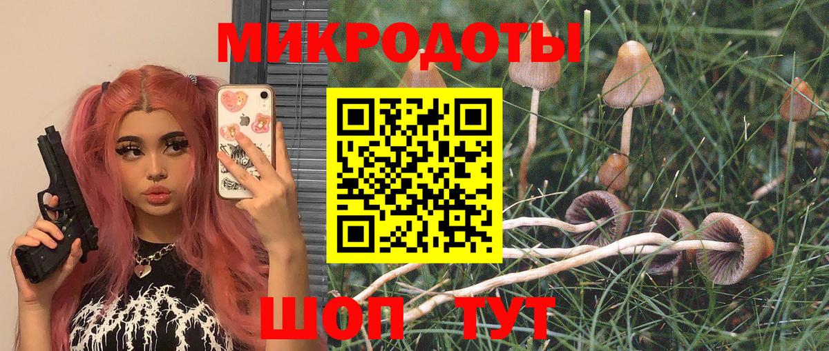 Галлюциногенные грибы GOLDEN TEACHER Россия