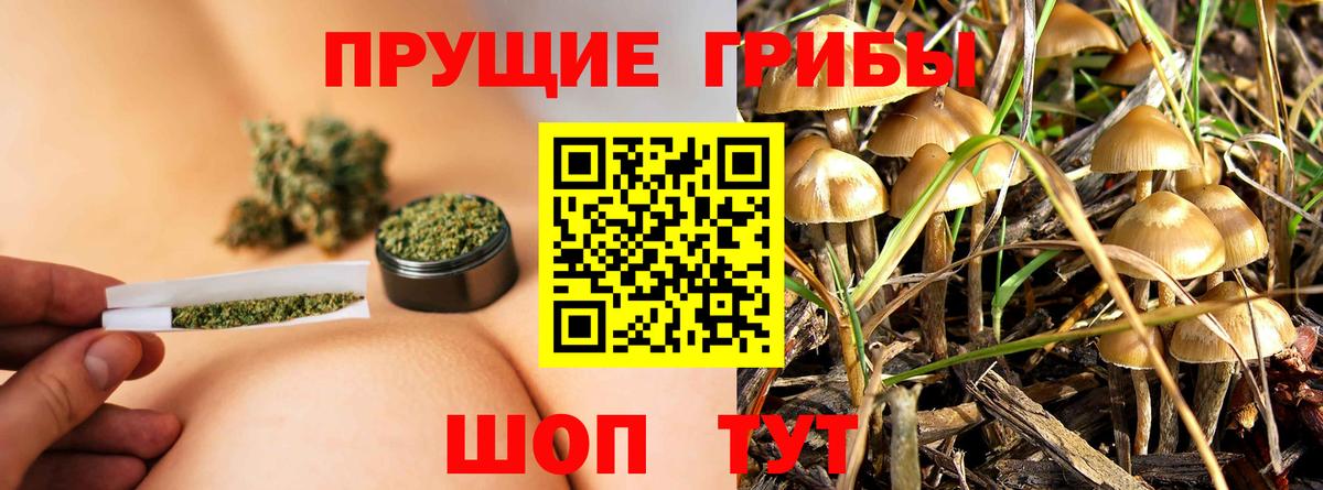 Псилоцибиновые грибы мицелий  Псилоцибиновые грибы Magic Shrooms  купить  сайты  Вход с VPN  Россия 